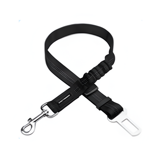 + FREE Dog Safety Belt